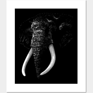 Elegant Elephant Posters and Art